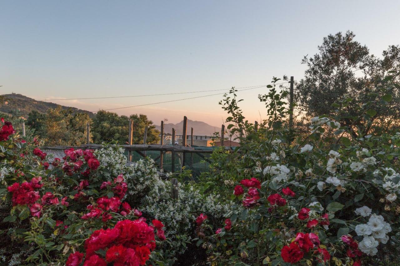 Raggio Di Sole Holiday home *