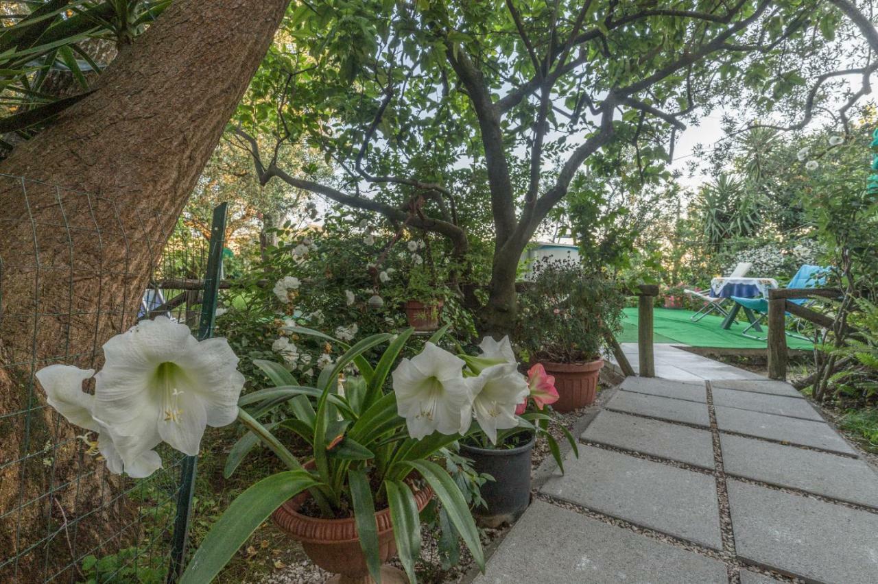 Holiday home Raggio Di Sole