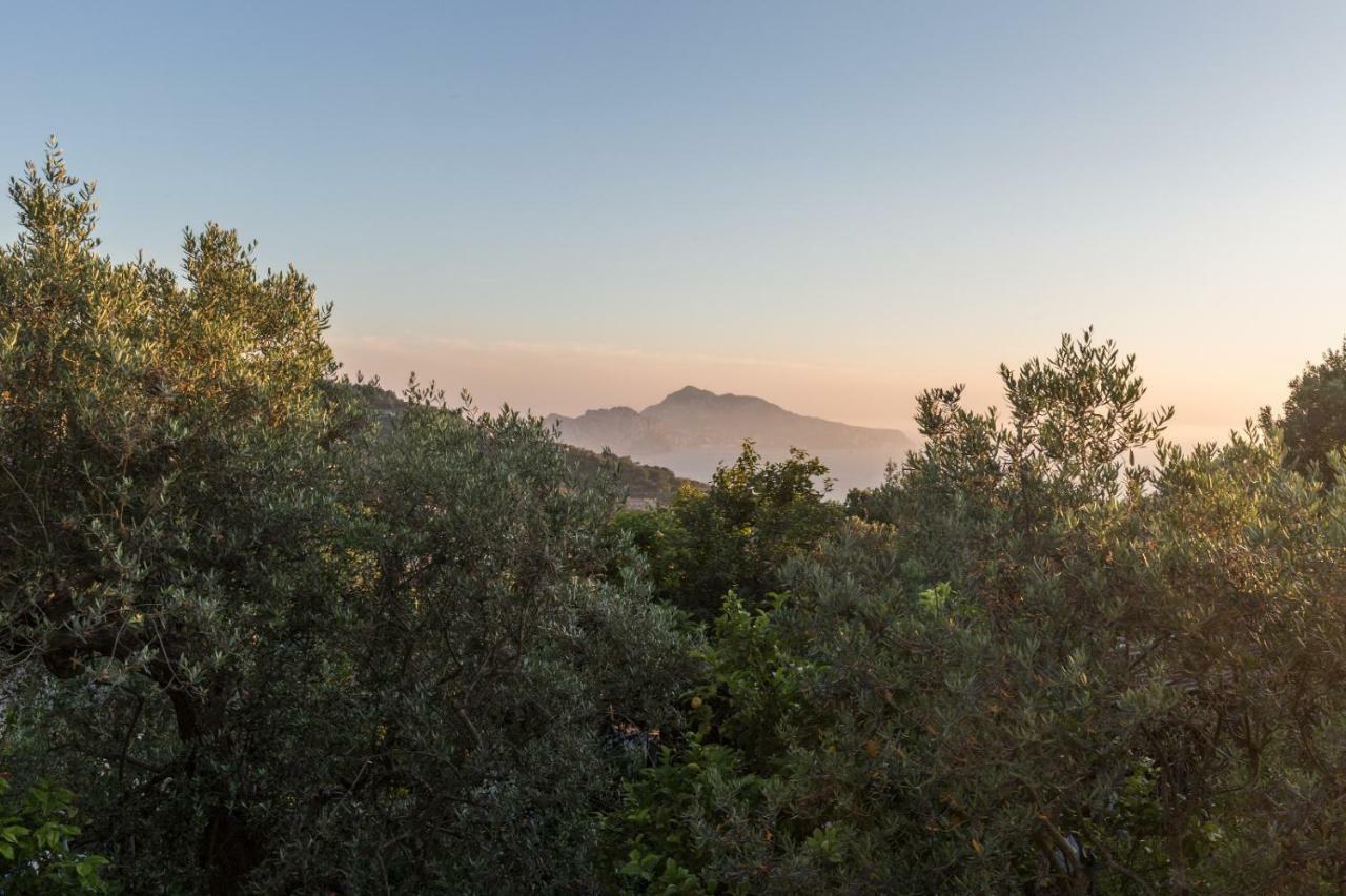 Raggio Di Sole Casa vacanze Massa Lubrense